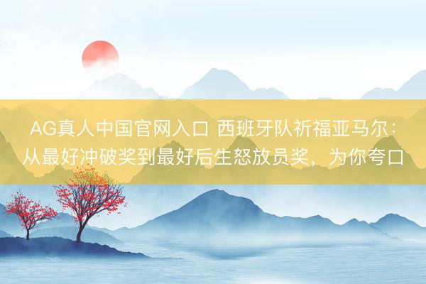 AG真人中国官网入口 西班牙队祈福亚马尔：从最好冲破奖到最好后生怒放员奖，为你夸口
