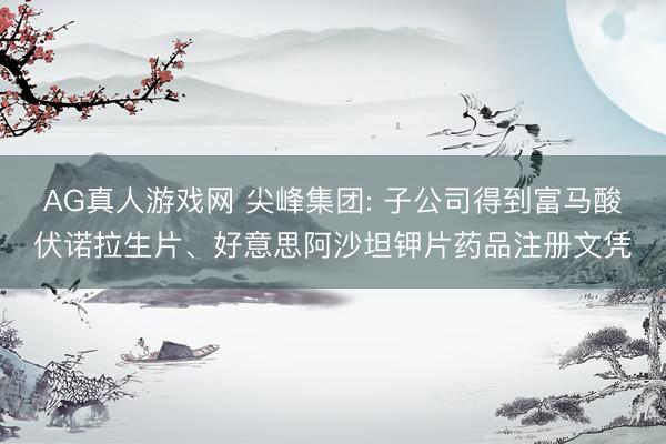 AG真人游戏网 尖峰集团: 子公司得到富马酸伏诺拉生片、好意思阿沙坦钾片药品注册文凭