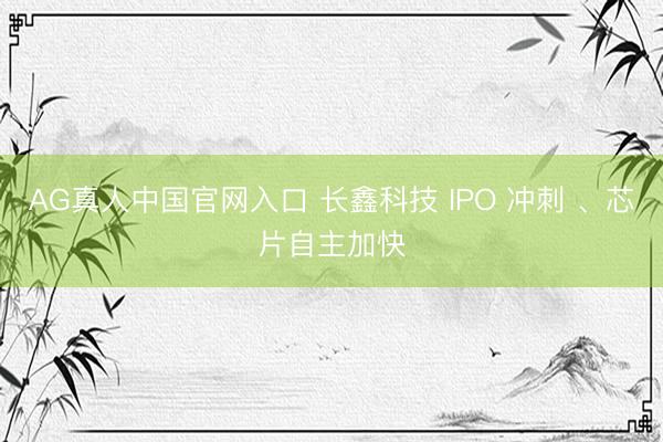 AG真人中国官网入口 长鑫科技 IPO 冲刺 、芯片自主加快