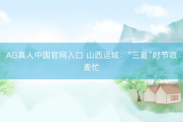 AG真人中国官网入口 山西运城：“三夏”时节收麦忙