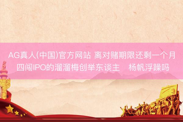 AG真人(中国)官方网站 离对赌期限还剩一个月 四闯IPO的溜溜梅创举东谈主杨帆浮躁吗