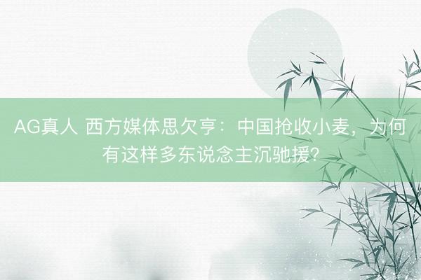 AG真人 西方媒体思欠亨：中国抢收小麦，为何有这样多东说念主沉驰援？