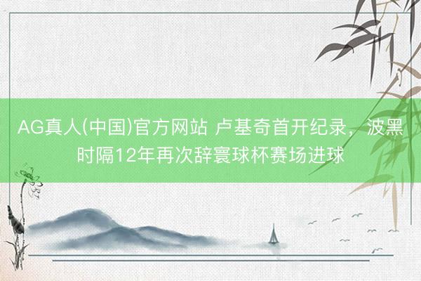 AG真人(中国)官方网站 卢基奇首开纪录，波黑时隔12年再次辞寰球杯赛场进球