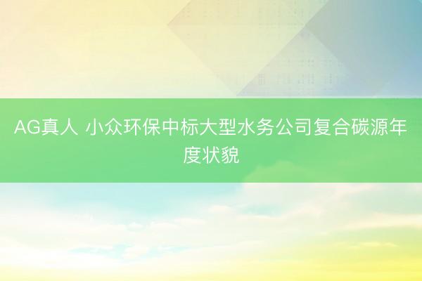 AG真人 小众环保中标大型水务公司复合碳源年度状貌